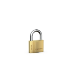 Gold padlock with a silver U-shaped shackle sits on a white studio background, symbolizing security.