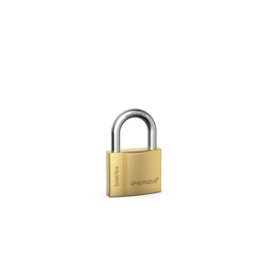 Gold brass padlock with a silver U-shaped shackle on a white background.