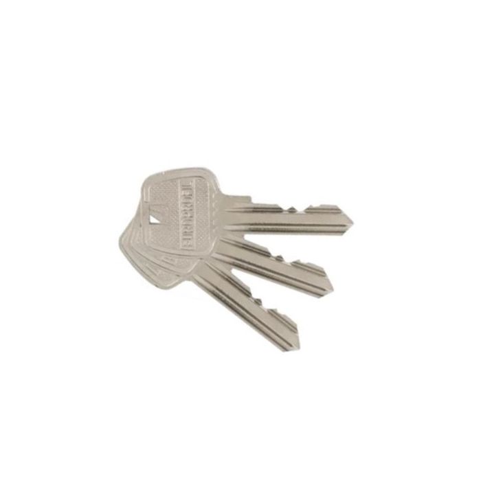 Set of three metal keys fanned out from a single key head on a white background