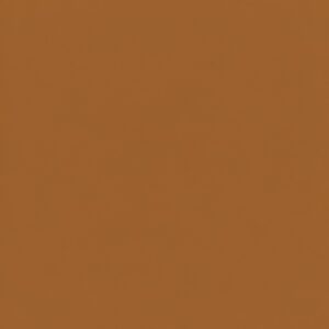 Solid warm orange-brown background with no objects or details
