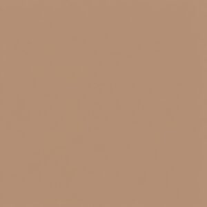 Uniform tan-brown background with no objects or features.