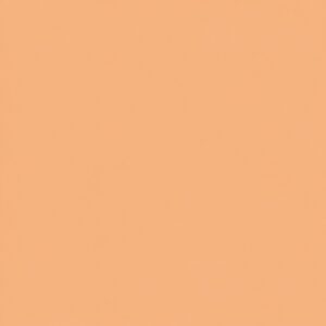 Solid peach-colored background (uniform, no details).