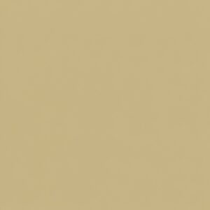 Solid warm beige background (uniform color)