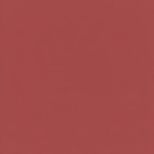Solid red background with no features or text